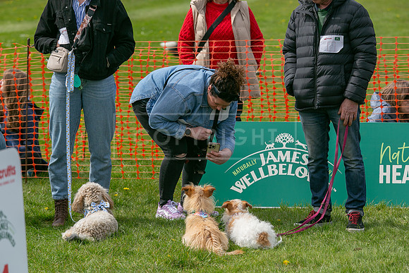 Scruffts @ Newbury 14 April 2024-050