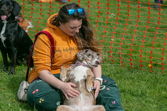 Scruffts @ Newbury 14 April 2024-053