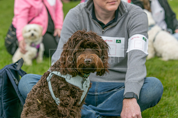 Scruffts @ Newbury 14 April 2024-061