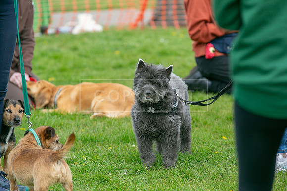 Scruffts @ Newbury 14 April 2024-063