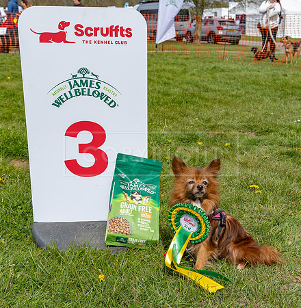 Scruffts @ Newbury 14 April 2024-066