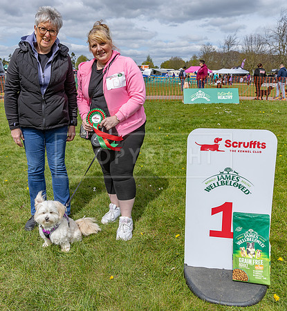 Scruffts @ Newbury 14 April 2024-069