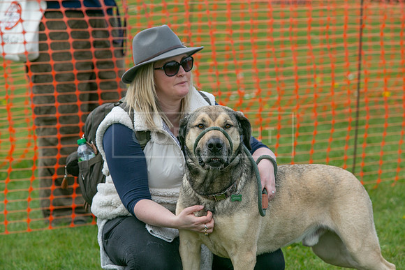 Scruffts @ Newbury 14 April 2024-076