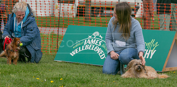 Scruffts @ Newbury 14 April 2024-078