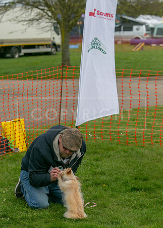 Scruffts @ Newbury 14 April 2024-082