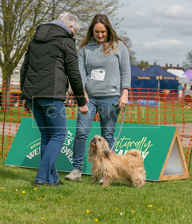 Scruffts @ Newbury 14 April 2024-083