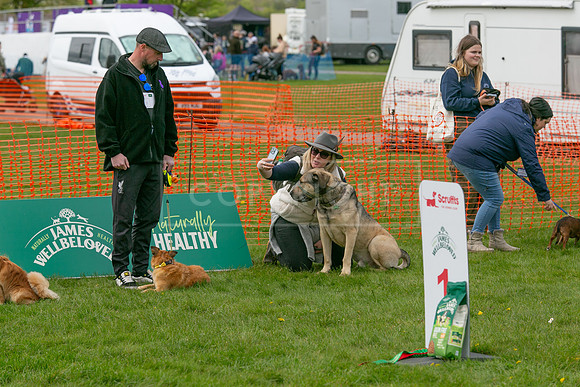 Scruffts @ Newbury 14 April 2024-080