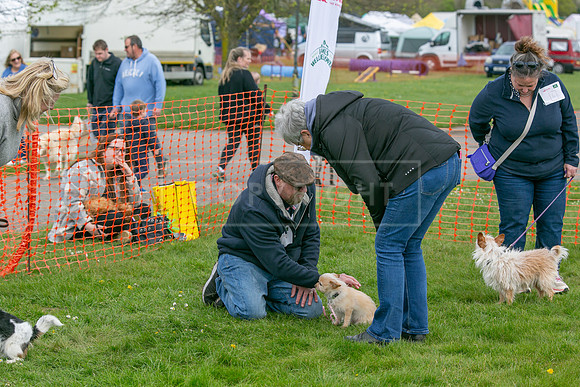 Scruffts @ Newbury 14 April 2024-081
