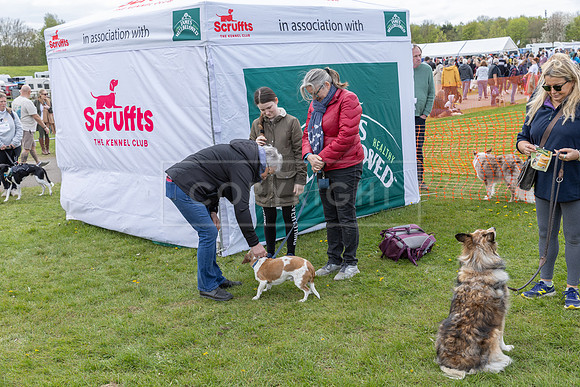 Scruffts @ Newbury 14 April 2024-077