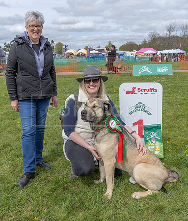 Scruffts @ Newbury 14 April 2024-086