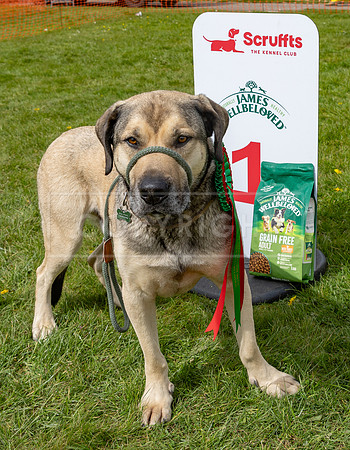 Scruffts @ Newbury 14 April 2024-090