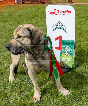 Scruffts @ Newbury 14 April 2024-091