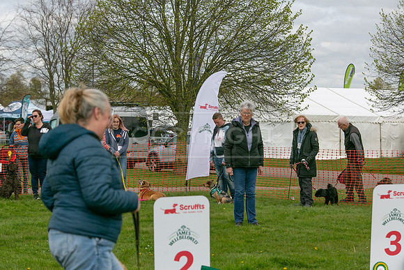 Scruffts @ Newbury 14 April 2024-094