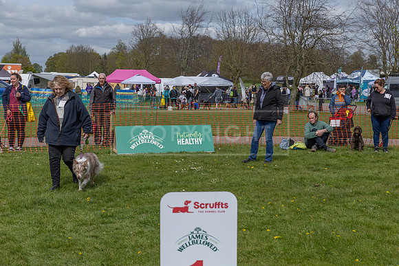 Scruffts @ Newbury 14 April 2024-093