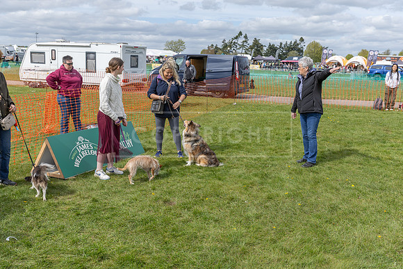 Scruffts @ Newbury 14 April 2024-092