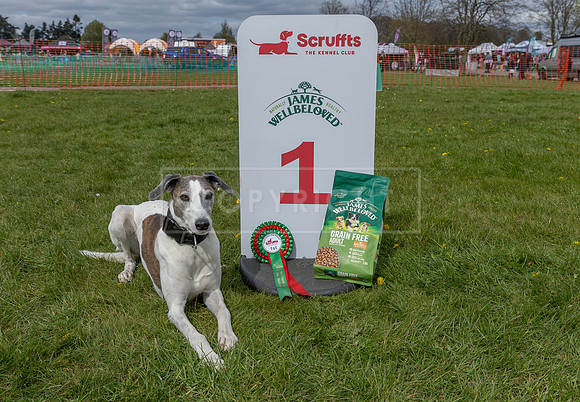 Scruffts @ Newbury 14 April 2024-098