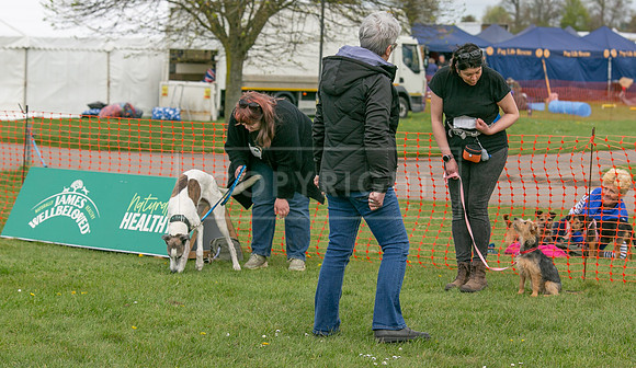 Scruffts @ Newbury 14 April 2024-095