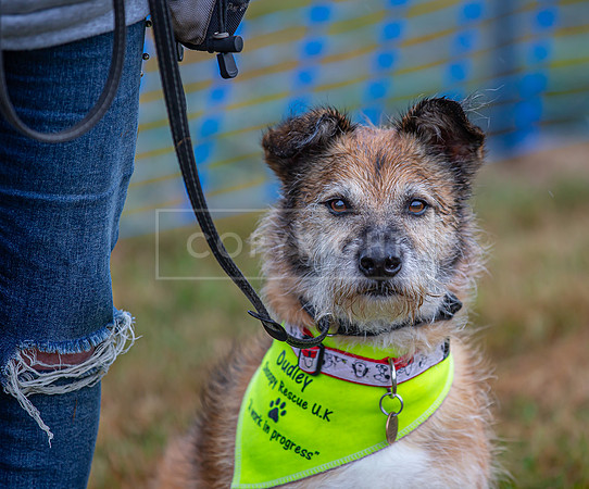 Scruffts detling showground 17 sept 23-30
