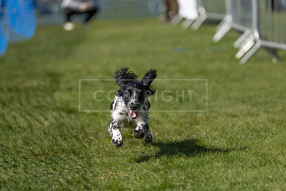 Thoresby Sun 30th Mar 25-099