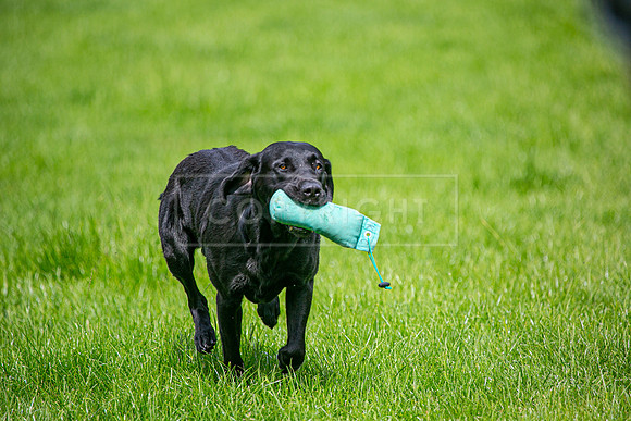 Int Retriever Day 1 -194
