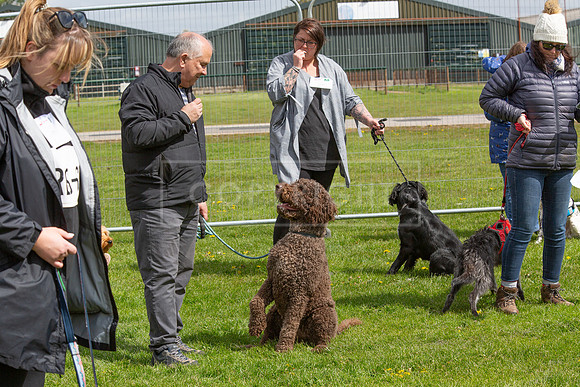 Scruffts @ Newark April 2024-013
