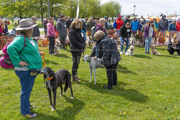 Scruffts @ Newark April 2024-014