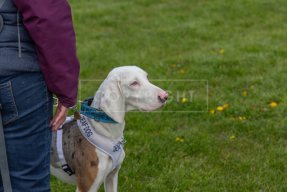 Scruffts @ Newark April 2024-018