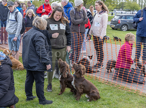 Scruffts @ Newark April 2024-019