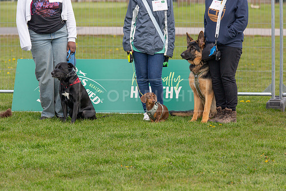 Scruffts @ Newark April 2024-021