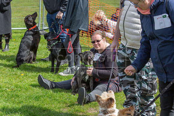 Scruffts @ Newark April 2024-023