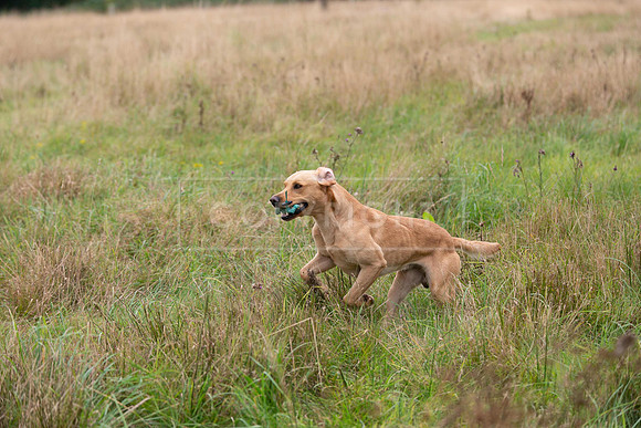 Jixenwell Scurry Challenge Final 2024-0458