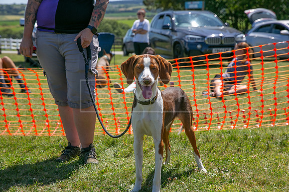 Scruffts heat @ Wadebridge 13th July 2025-42