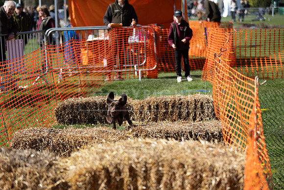 Thoresby Sun 30th Mar 25-121
