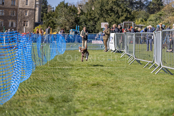 Thoresby Sun 30th Mar 25-124