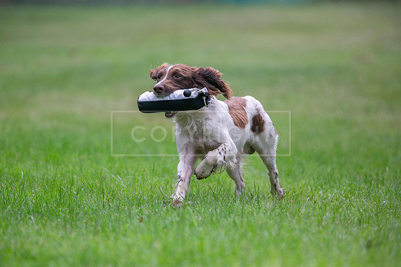 Jixenwell Scurry Challenge Final 2024-0206