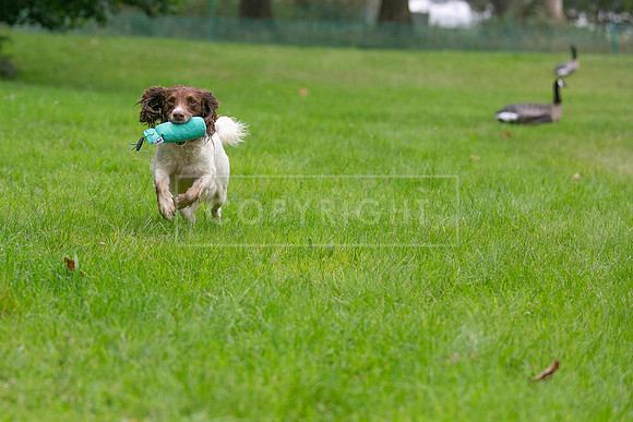 Jixenwell Scurry Challenge Final 2024-0307