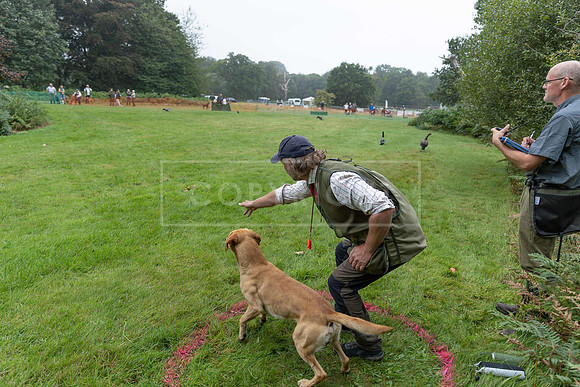 Jixenwell Scurry Challenge Final 2024-0101