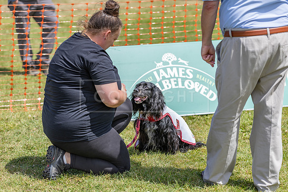 Scruffts heat @ Wadebridge 13th July 2025-106