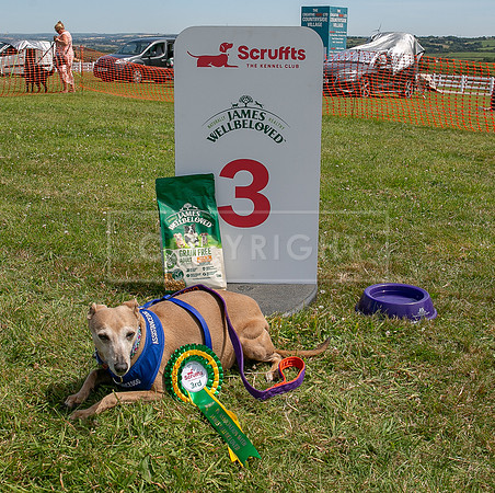 Scruffts heat @ Wadebridge 13th July 2025-130