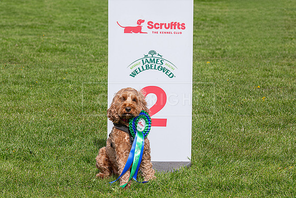 Scruffts @ Newark April 2024-103