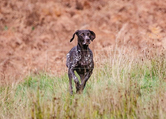 HPR Championships Nov 2021-29