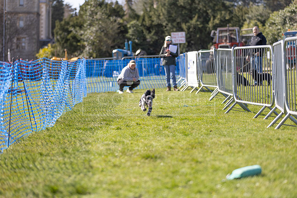 Thoresby Sun 30th Mar 25-242