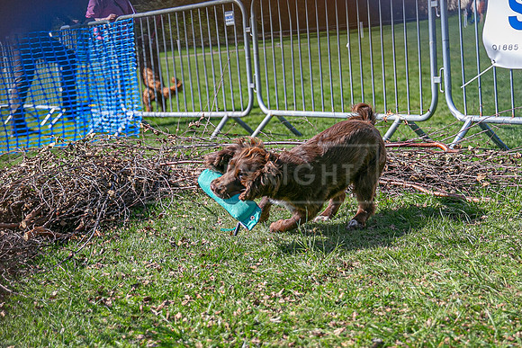 Thoresby Sun 30th Mar 25-224
