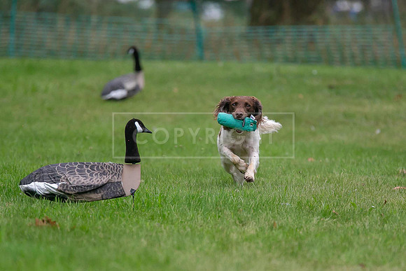 Jixenwell Scurry Challenge Final 2024-0244