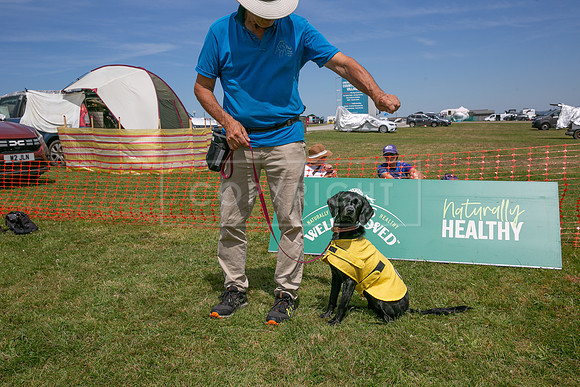 Scruffts heat @ Wadebridge 13th July 2025-150
