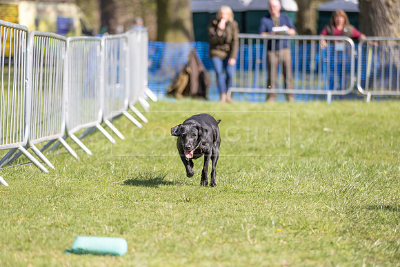 Thoresby Sun 30th Mar 25-234