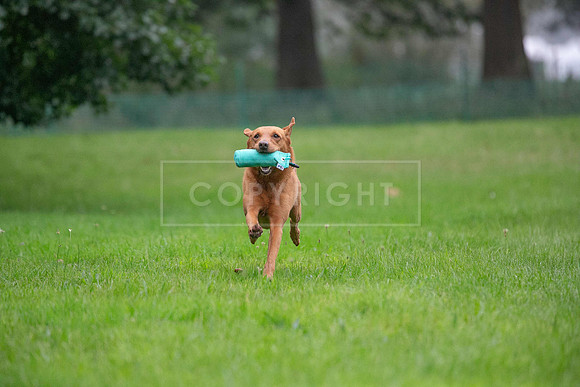 Jixenwell Scurry Challenge Final 2024-0127