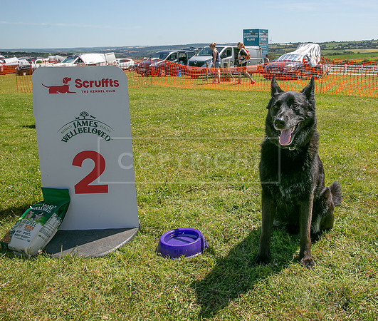Scruffts heat @ Wadebridge 13th July 2025-48
