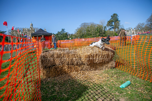 Thoresby Sun 30th Mar 25-072