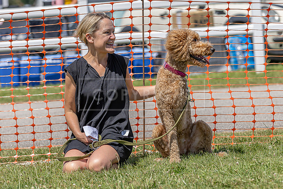 Scruffts heat @ Wadebridge 13th July 2025-70